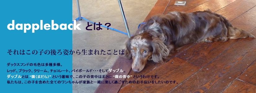 ダップルバックカフェ